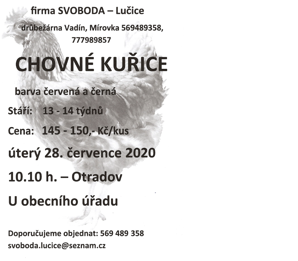 CHOVNÉ KUŘICE.png